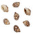 Tapok Frog Shell Beads 11x7mm-Natural