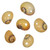 Moonshell Snail Beads 18x13mm-Yellow