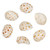 Moonshell Snail Beads 12x7mm-Tiger