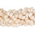 Moonshell Snail Beads 12x7mm-Tiger
