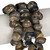 Nerit Snail Shell Beads 22x16mm-Zig Zag