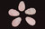 Special Cut Pineapple Shaped Gemstone Beads 15x24mm 1PC-Rose Quartz