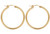 14k Gold Filled Eurowire Hoop Earrings