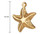 14K Gold Filled 15x18 mm Starfish Charm