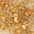 14K Gold Filled Clamshell W/2 Rings
