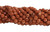 Round Faceted Beads 10mm -15 IN Strand - Goldstone