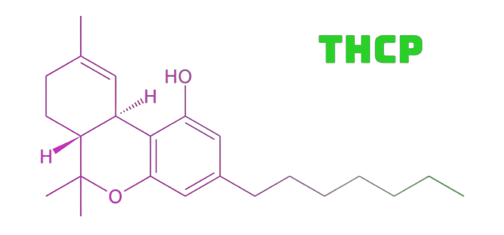 THC-P