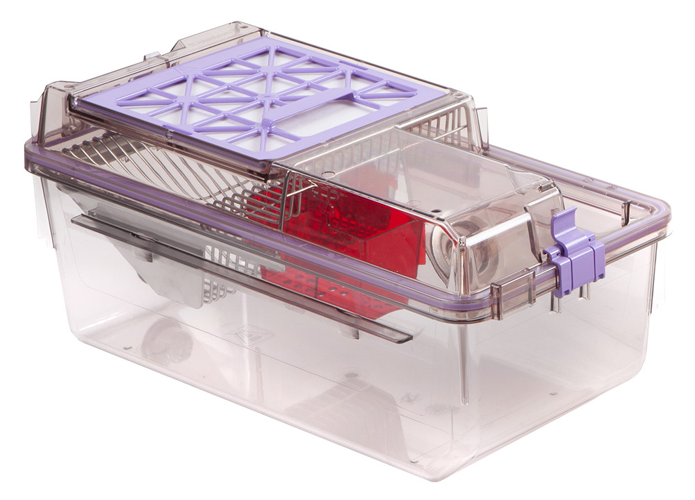 根っこ マウスセット NexGen Mouse Enrichment Loft