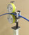 Length Counter MS 1-25, PU coated Measuring- and Counter Wheel; Linear guided Encoder wheel; Encoder incl
