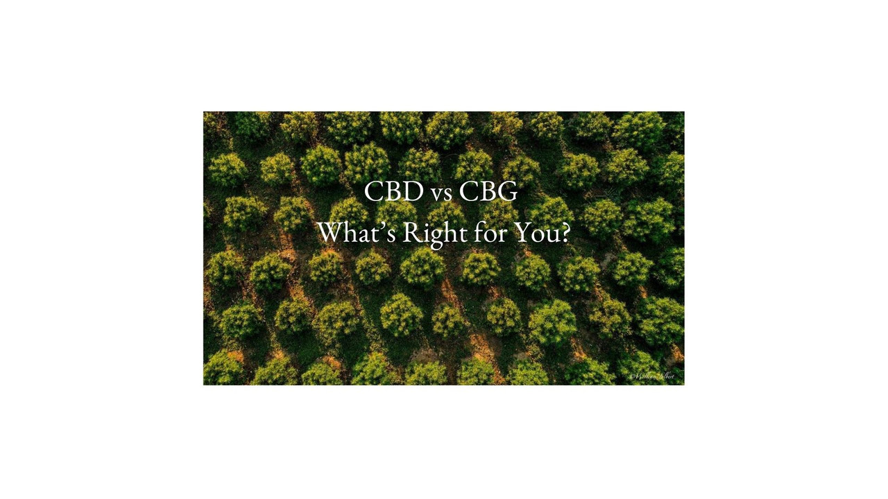 CBD vs. CBG: Which Is Best for You?