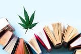 Our 6 Favorite Books on CBD