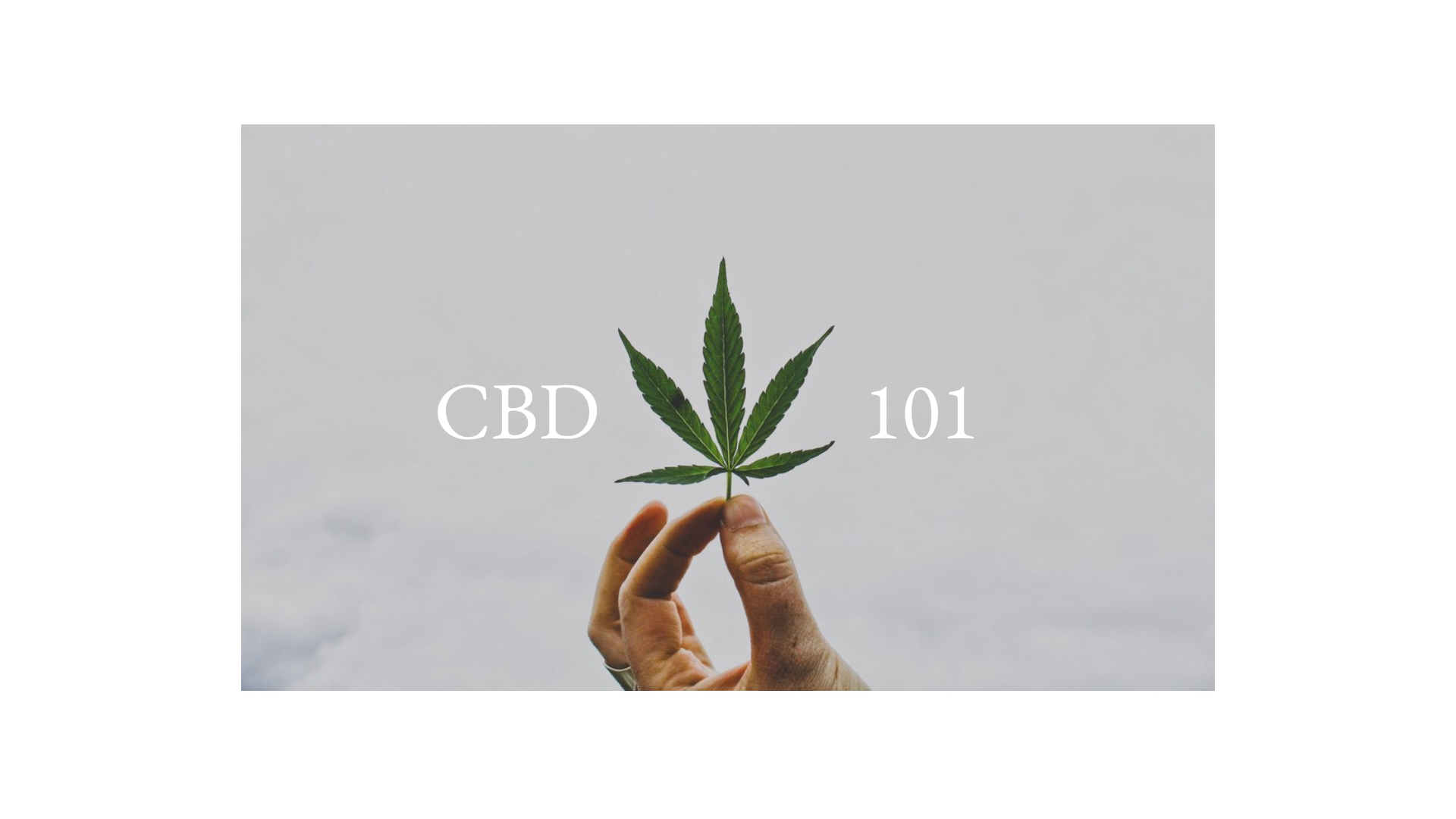 CBD 101: Everything You Need to Know