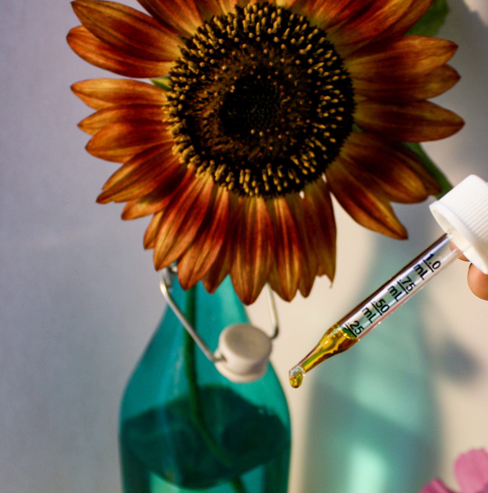 Full spectrum CBD for full body wellness
