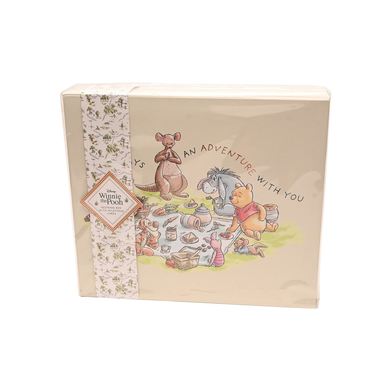 Disney the Winnie Pooh Keepsake Box 