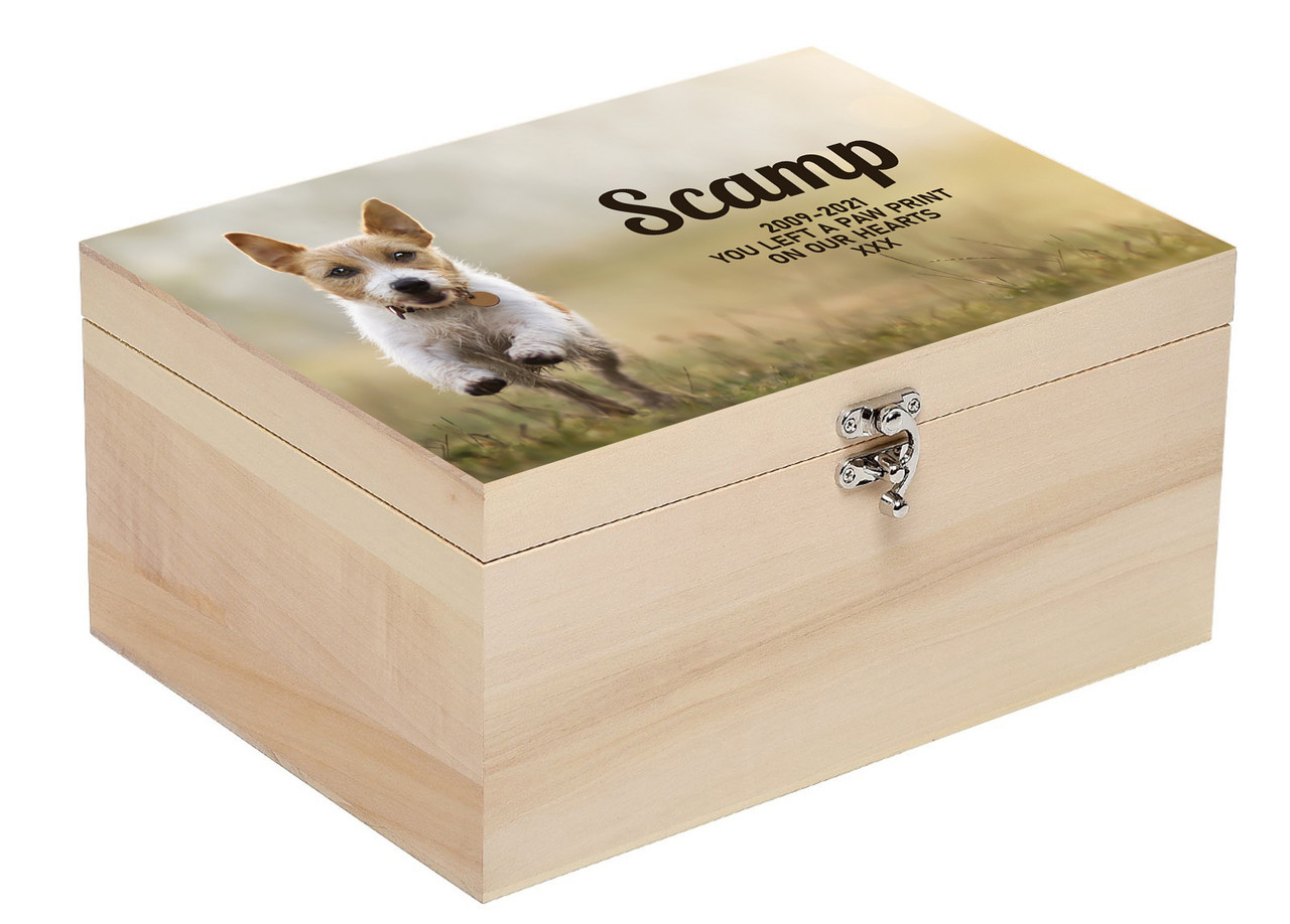 Pet memorial sales box ashes