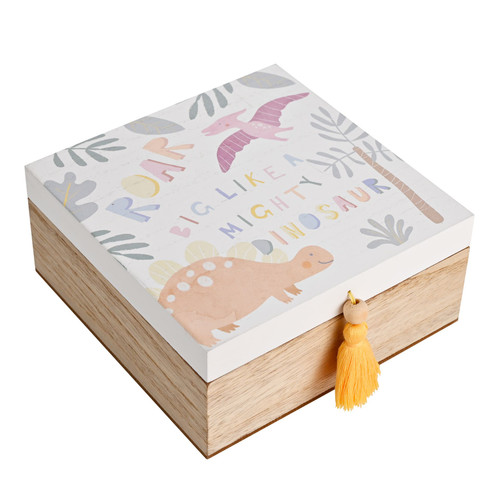 Personalised Dinosaur Memories 16cm Keepsake Children's Storage Box-