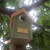 A new England nesting bird box modeled on classic beech hut style. Light beech wood roof with painted green front.  Large stainless steel hole protector on front. Personalised  with a wooden plaque with customised text.