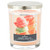 Sweet Gelato 3-Wick Jar Candle, 16 oz.