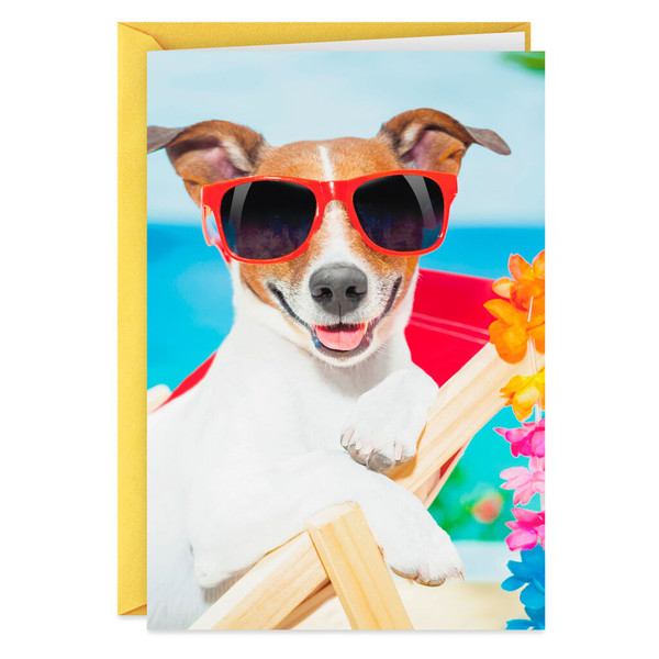 Beach Dog Go to Your Happy Place Funny Birthday Card