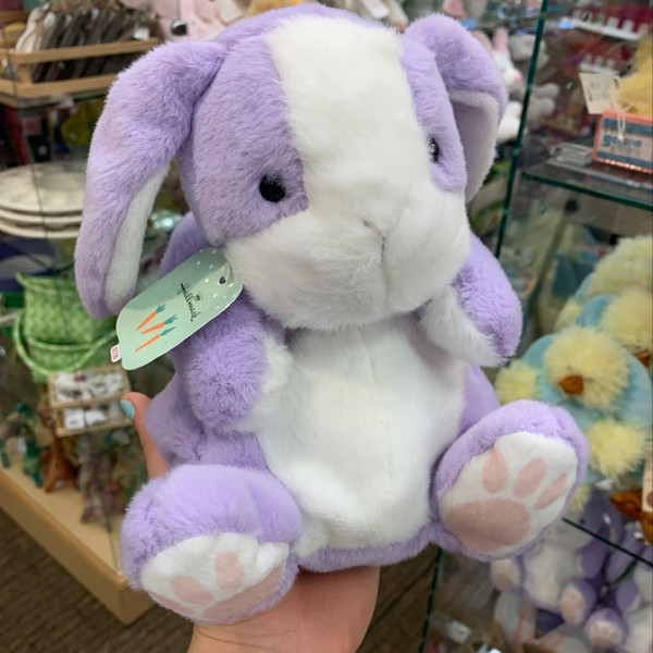 Purple Bunny