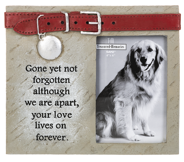 Pet Memorial Frame - Gone yet not forgotten