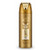 BODY SPRAY LATTAFA SHAHEEN GOLD UNISEX  6.7 OZ / 6298043161404