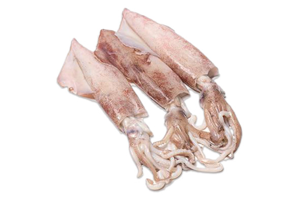 Frozen Squid Whole 1Kg