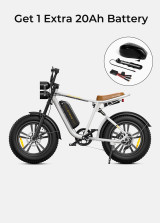 ENGWE M20