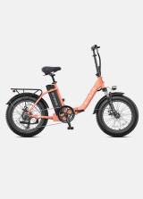 ENGWE L20 2.0