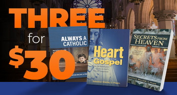 Let Father Walshe Open Up the Scriptures For You: 3 Great Books For $30