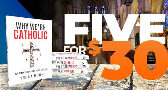 Why We're Catholic: Our Reasons For Faith, Hope, And Love - 5 For $30