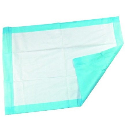 McKesson 17" x 24" Blue Underpad (16-16650)