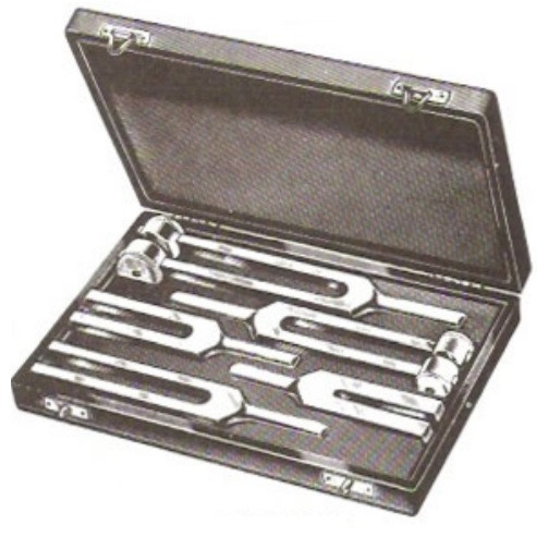 Set of 5 Tuning Forks in Vinyl Case