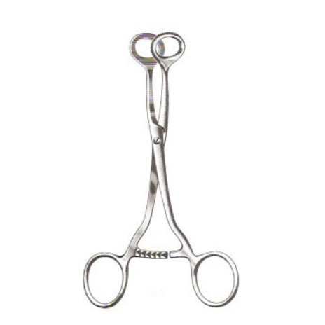 Collins Tongue Seizing Forceps, Jaws 25mm Wide - 17cm