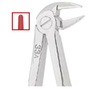 Kohler #33A English Pattern Medium-Size Extraction Forceps with Grooved Beaks (1431)