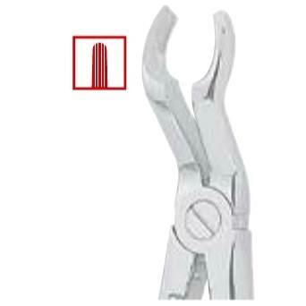 Kohler #67 English Pattern Medium-Size Extraction Forceps with Grooved Beaks (1434)