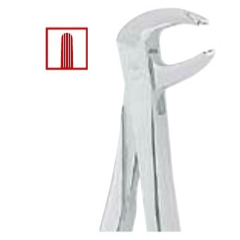Kohler #73 English Pattern Medium-Size Extraction Forceps with Grooved Beaks (1441)
