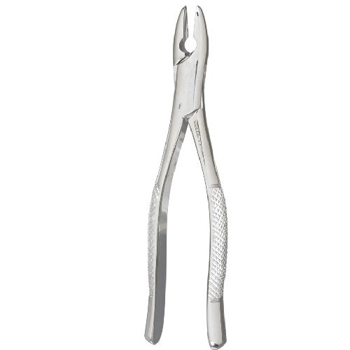 Miltex Vantage #1 Extraction Forceps with Serrated Tips (V90-1STD-SG)