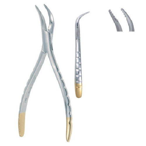 Kohler #600 Lindo-Levien Extraction Forceps with Serrations (2230)