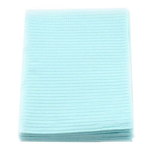 Crosstex Blue 19" x 13" Econoback Patient Bib (WEXBL)