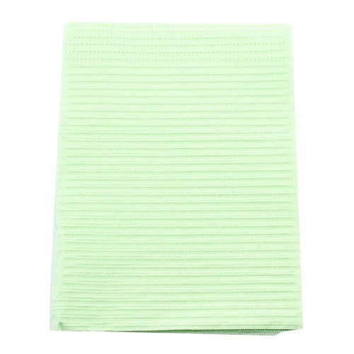 Crosstex Green 19" x 13" Econoback Patient Bib (WEXGR)