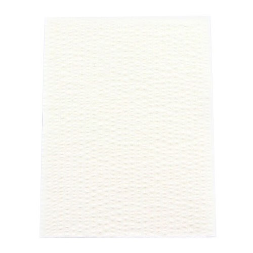 Crosstex White 18" x 13" Advantage Patient Bibs (WEXAWH)