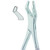 Kohler #53R American Pattern Extraction Forceps (1176)
