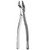 ECO #10S Extraction Forceps