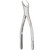 Miltex Vantage #23 Extraction Forceps (V90-23)