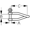 Sea Dog Twisted D-Shackle  147406-1