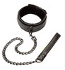 Calexotics Boundless Collar & Leash