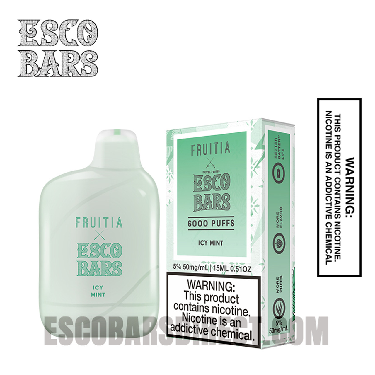 Esco Bar Icy Mint Fruitia Rechargeable Vape 6000 Puffs