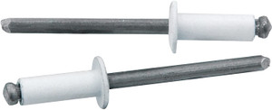 Allstar Performance ALL18114 White 3/16" Head Rivet, (Pack of 250) White Steel Allstar Performance ALL18114 White 3/16" Head Rivet, (Pack of 250) White Steel