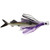 Williamson Live Ballyhoo Combo 10.5" - Purple/Black Williamson Live Ballyhoo Combo 10.5" - Purple/Black